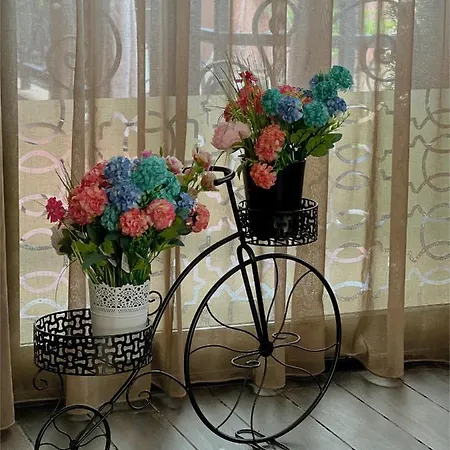 Family Paradise Hotel *